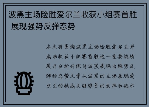 波黑主场险胜爱尔兰收获小组赛首胜 展现强势反弹态势