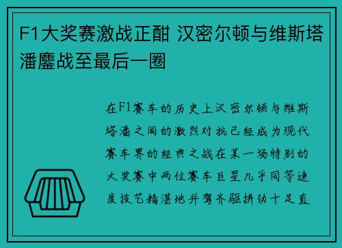 F1大奖赛激战正酣 汉密尔顿与维斯塔潘鏖战至最后一圈